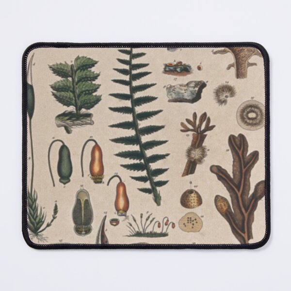 Item preview, Botany Chart designed and sold by BlueSpecsStudio.