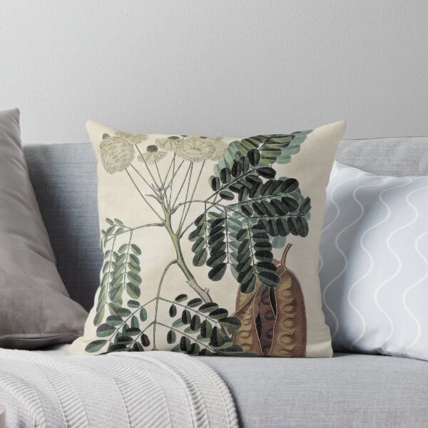 Artikel-Vorschau von Akazie Vintage botanischer Druck, designt und verkauft von Catherine  Regan.
