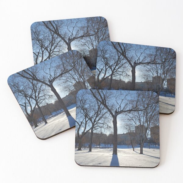 Item preview, Loring Park in Winter designed and sold by Cynthia Markey.
