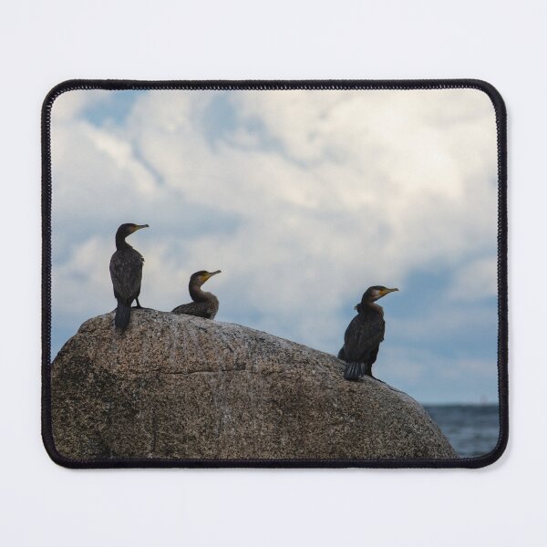 Item preview, Cormorants on a rock by the sea designed and sold by Claudia-Evans.