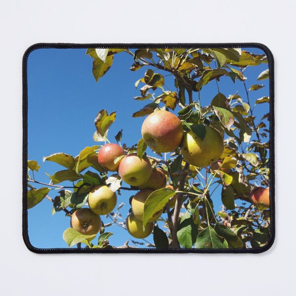 Item preview, Apple Season designed and sold by Cynthia Markey.