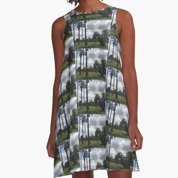 Lacy Park, San Marino A-Line Dress