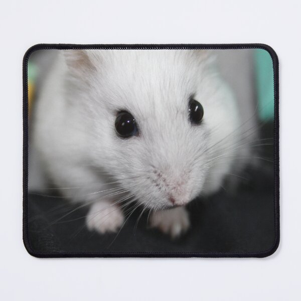 Item preview, hamster photo designed and sold by sadhighlighterarts.
