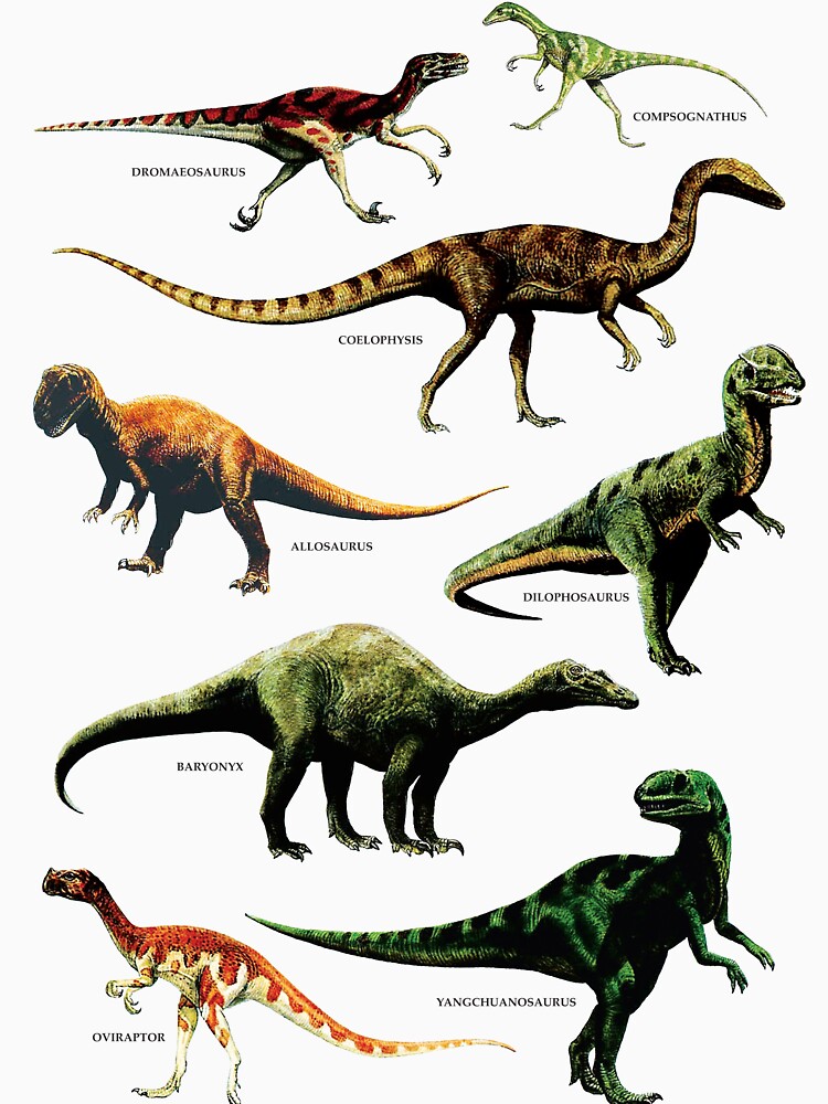  DINOSAUR  SPECIES VINTAGE RETRO 80s DINO DINOSAURS  Women 