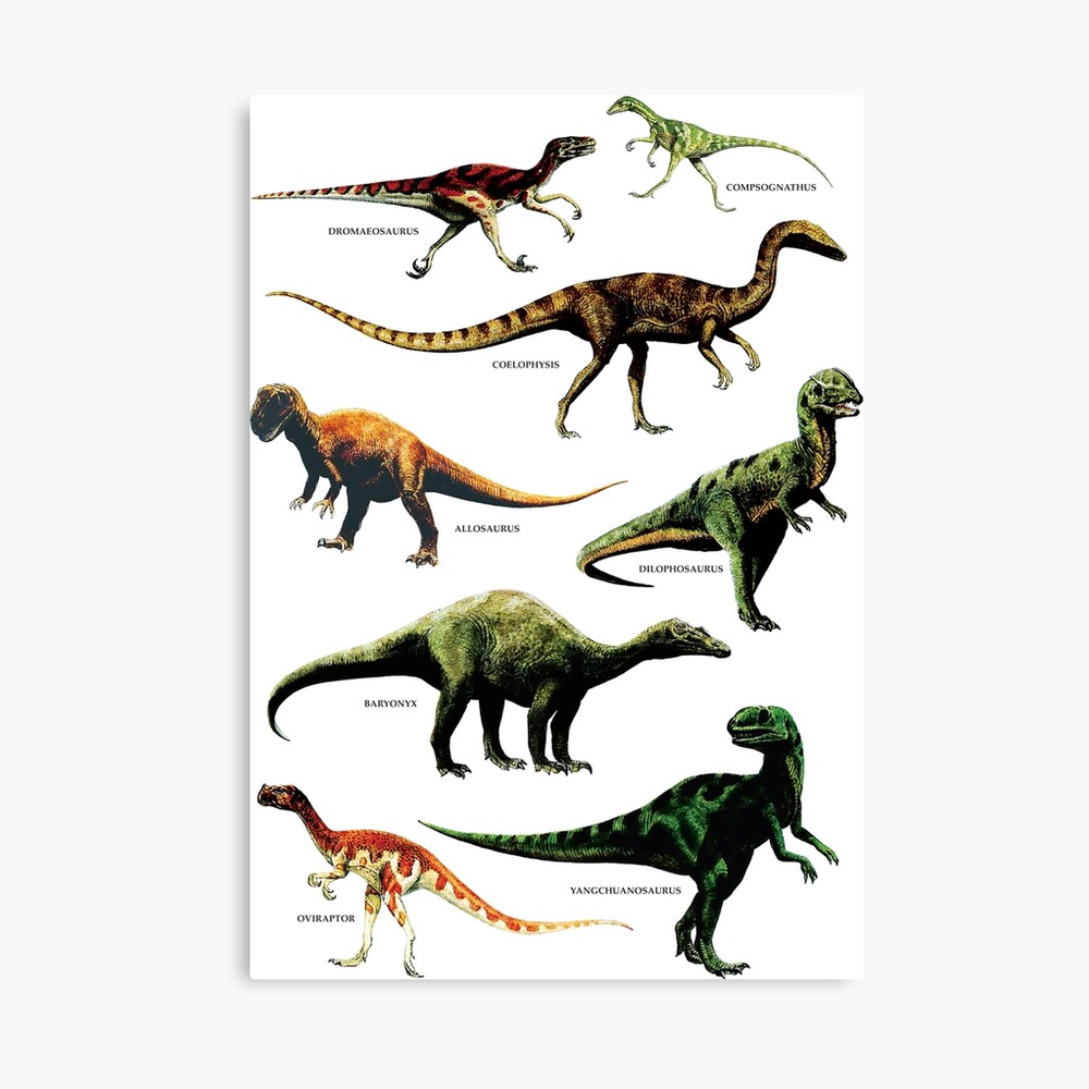 Dinosaur Species Vintage Retro 80s Dino Dinosaurs Metal Print By