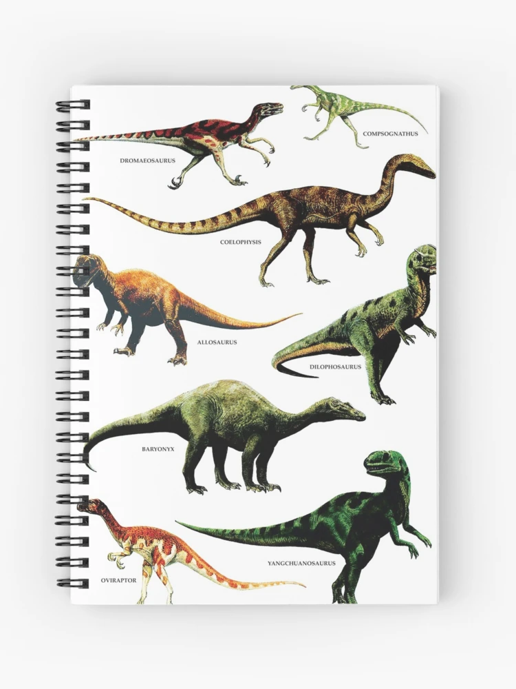 You're Super Roarsome!: Blank Lined Dinosaur Notebook, Journal and  Sketchbook | 6x9 | 120 pages