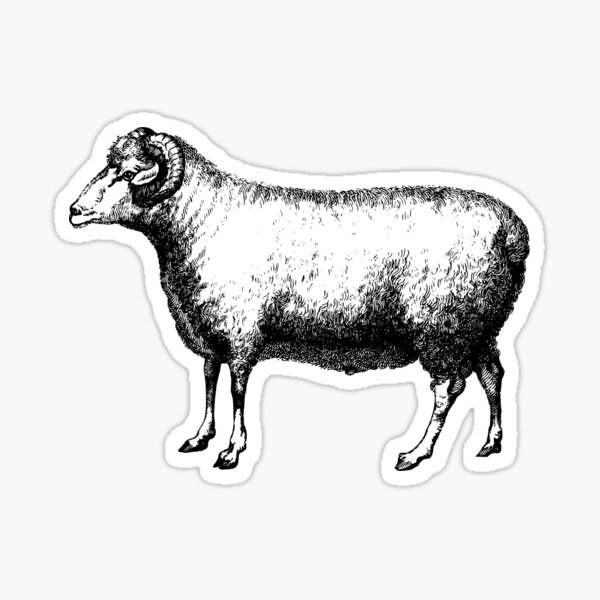 Item preview, Merino ram designed and sold by hrcdesign.