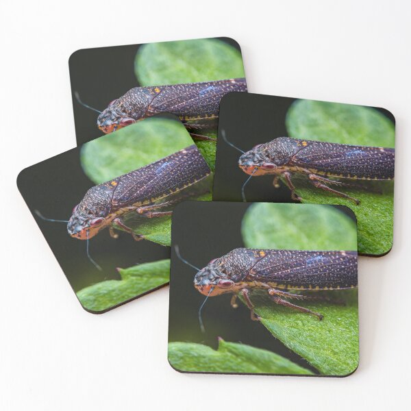 Item preview, Purple Sharpshooter Leafhopper - ProconiiniCicadellidae designed and sold by AronsTinySafari.