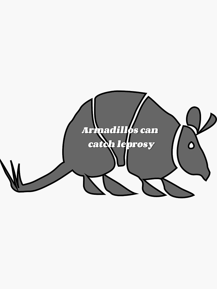 "Armadillos can catch leprosy" Sticker for Sale by Antsinpants Redbubble