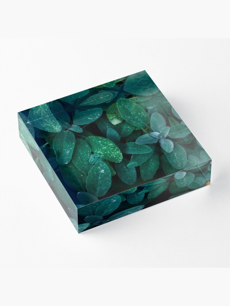 Alternate view of Salvia Acrylic Block