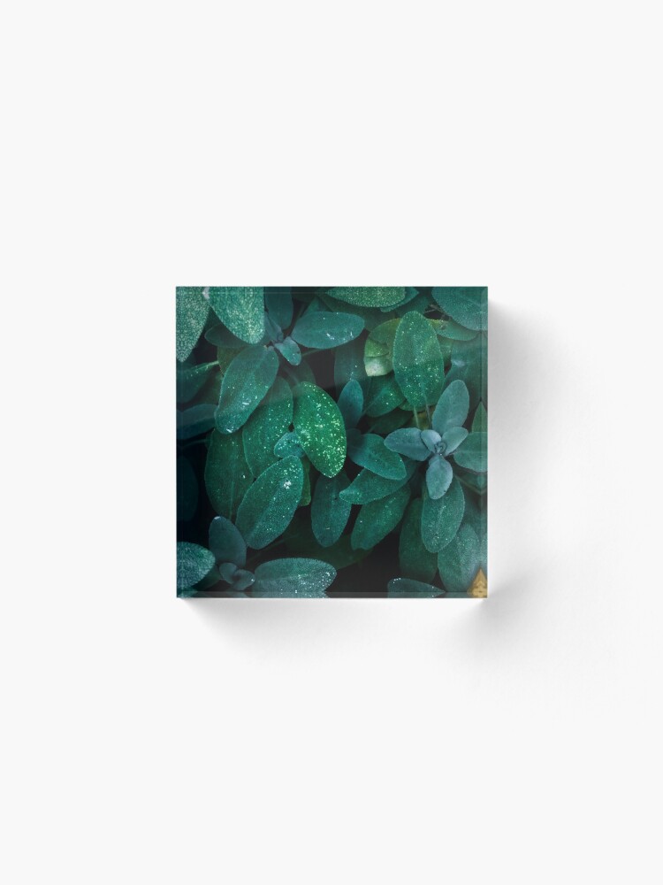 Alternate view of Salvia Acrylic Block