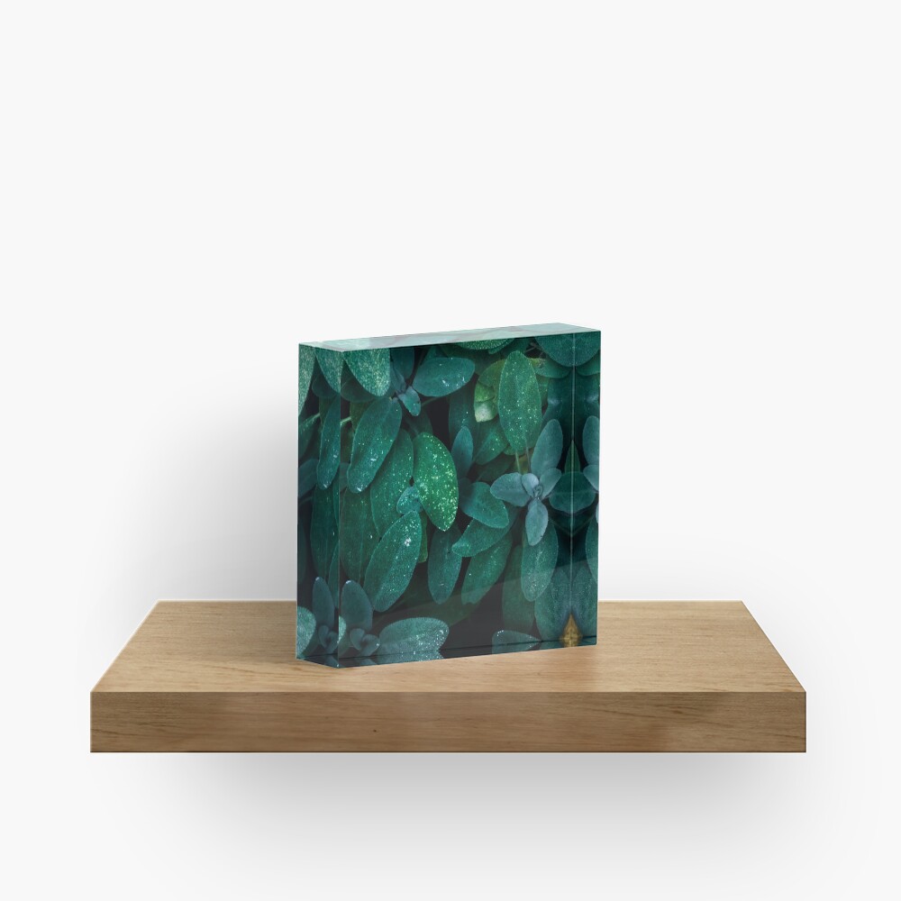 Salvia Acrylic Block