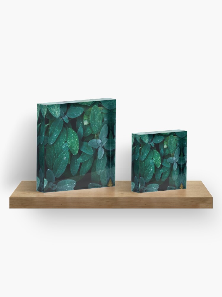 Alternate view of Salvia Acrylic Block
