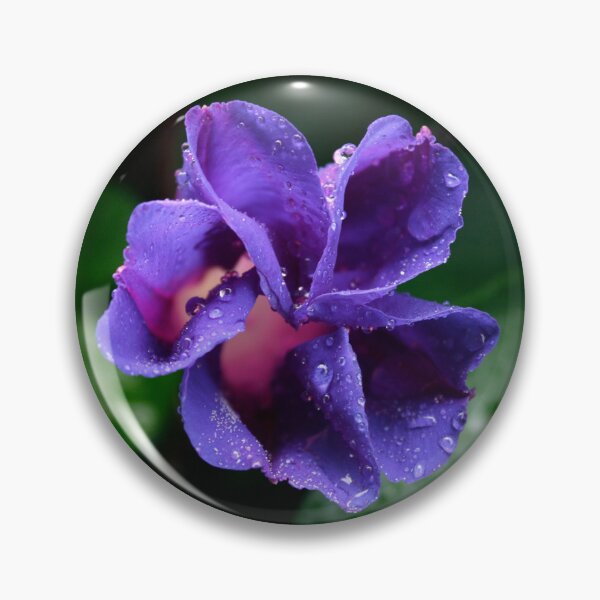 Item preview, Ipomoea purpurea designed and sold by iago rodriguez dopico.