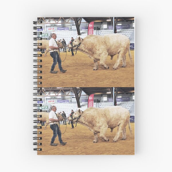 Item preview, r3562 / finition 2022 - 1 - La Ferme s'invite " le Magnifique " Poitiers 2022  "  - Okaio Créations  Olavia-Olao designed and sold by o.okaïo.