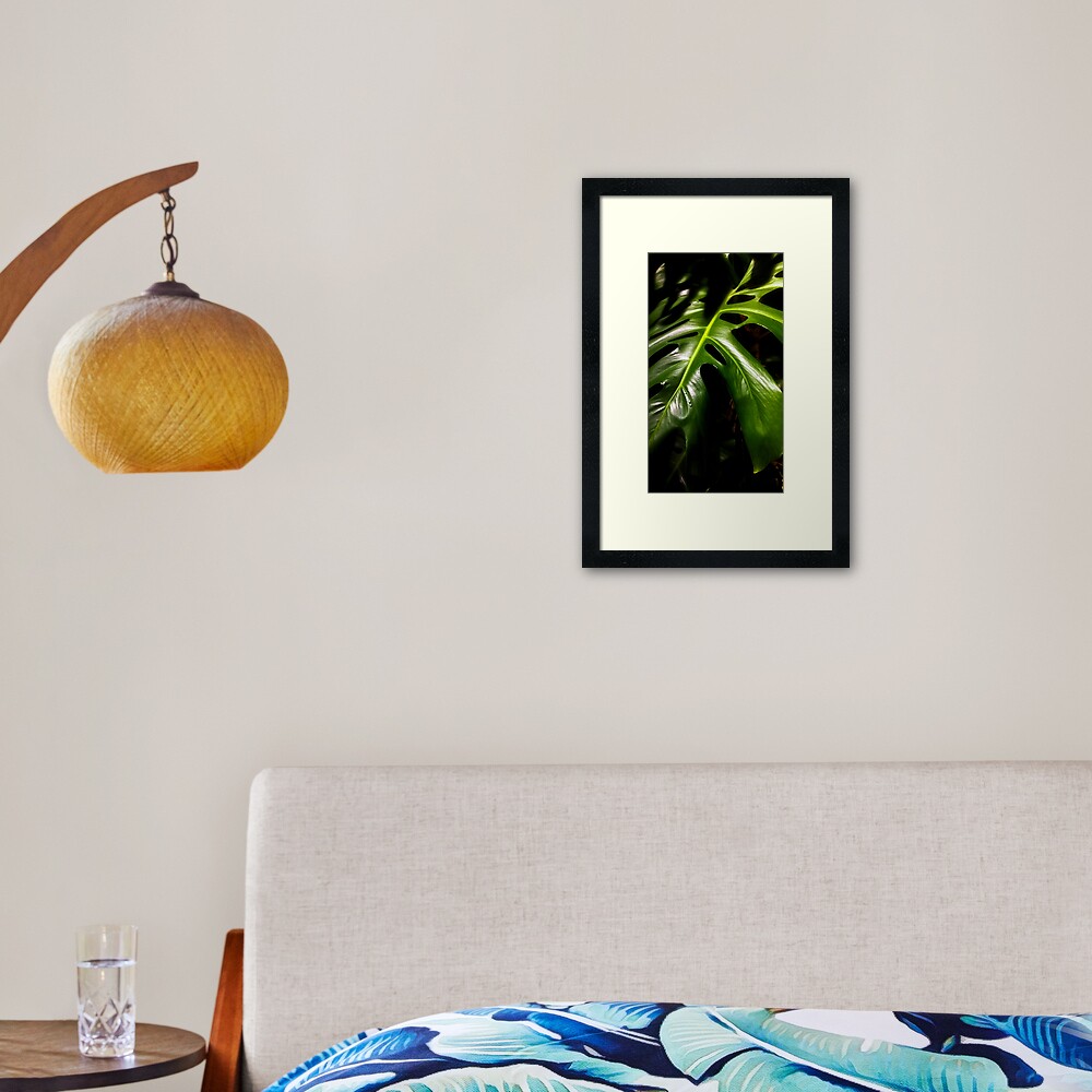 Monstera Framed Art Print