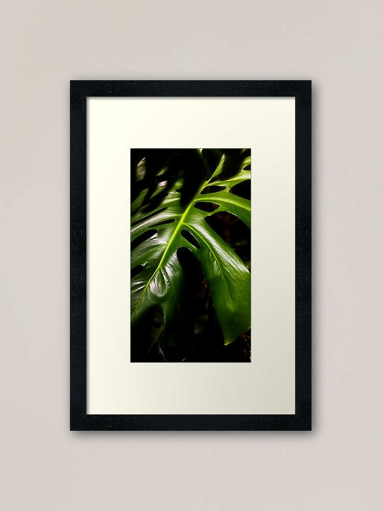 Alternate view of Monstera Framed Art Print