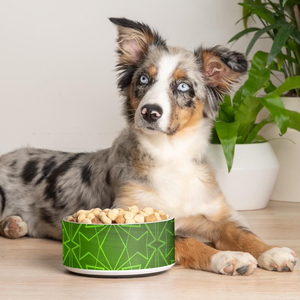 Item preview, Pet Bowl designed and sold by that5280lady.