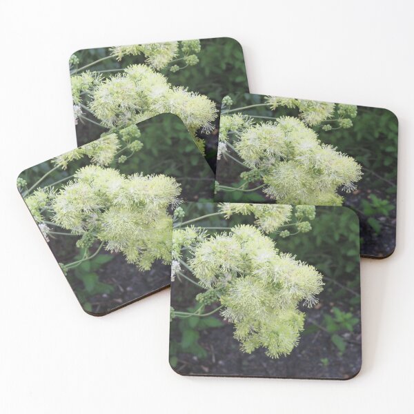 Item preview, Columbine meadow rue designed and sold by greentiger1.