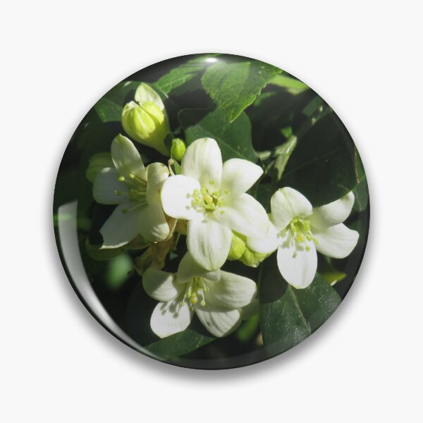 Item preview, Orange jasmine flowers designed and sold by greentiger1.