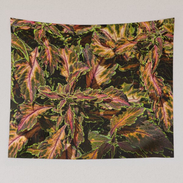Item preview, Coleus Foliage designed and sold by alanathrower.