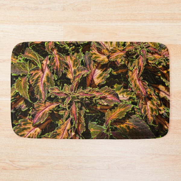 Item preview, Coleus Foliage designed and sold by alanathrower.