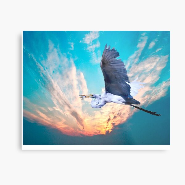 Flying High, Metal Print