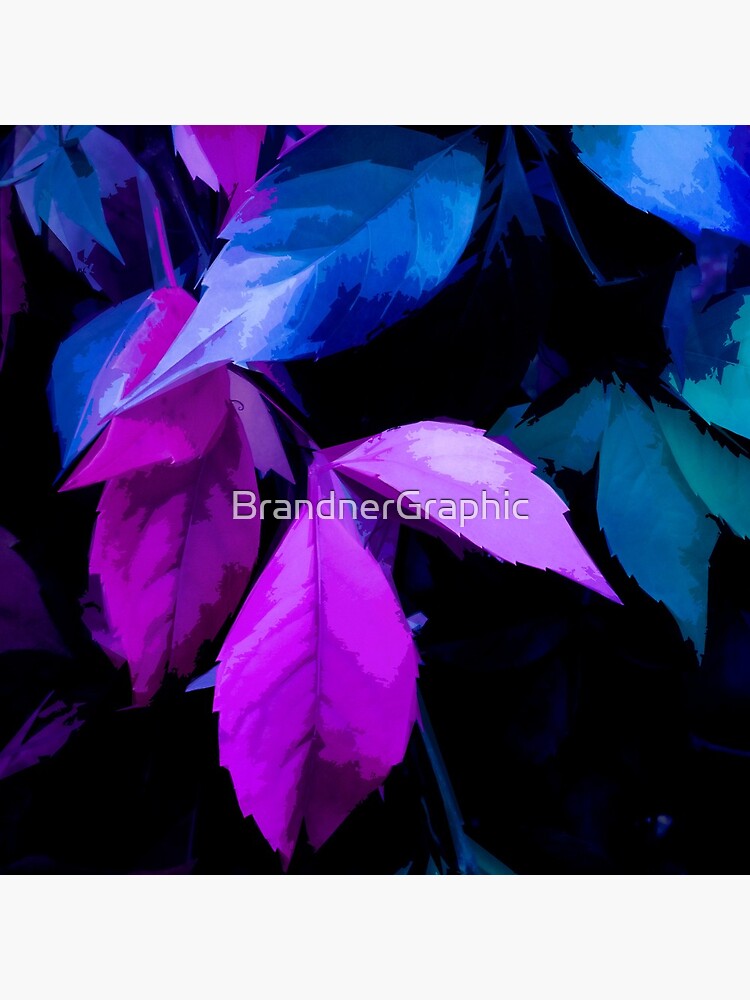 Parthenocissus by BrandnerGraphic