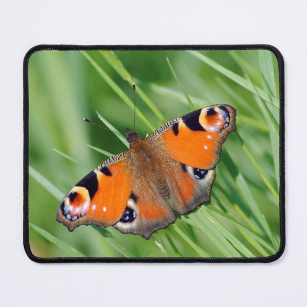 Item preview, Aglais Io designed and sold by iago rodriguez dopico.