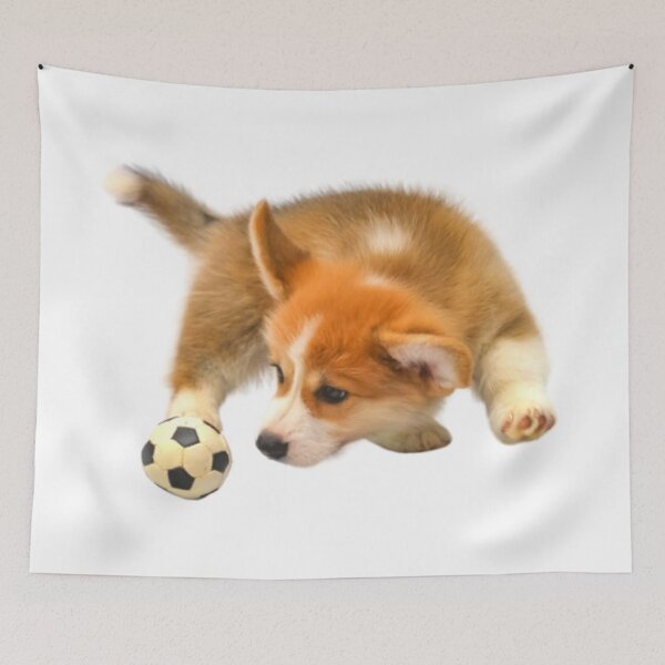 Item preview, A cute dog is playing with a ball designed and sold by Quality-goods.