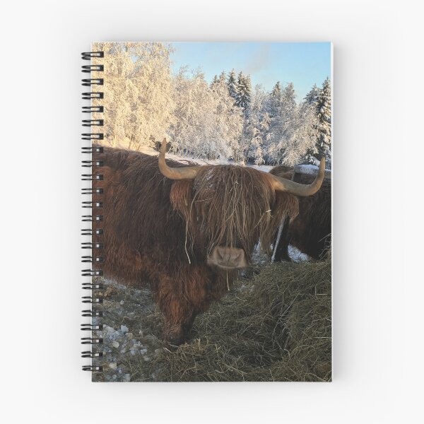 Item preview, Scottish Highland Cattle Cow 1041 designed and sold by SaarelaHighland.