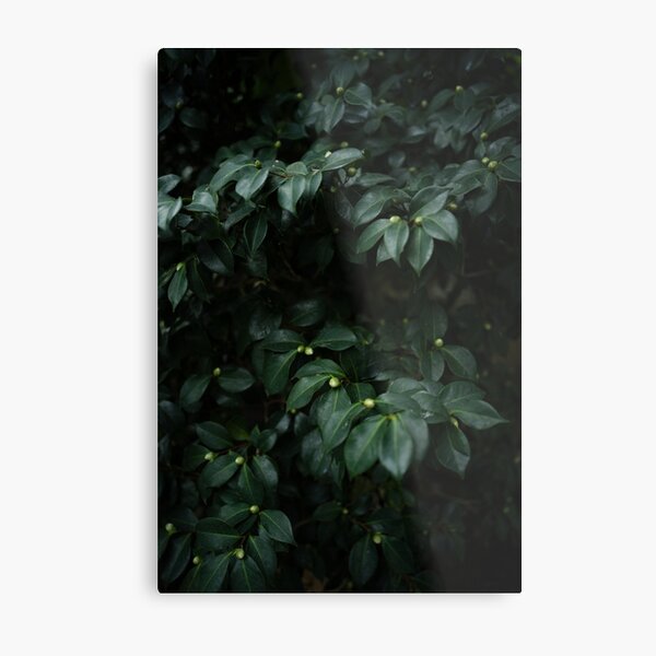 Lush Metal Print