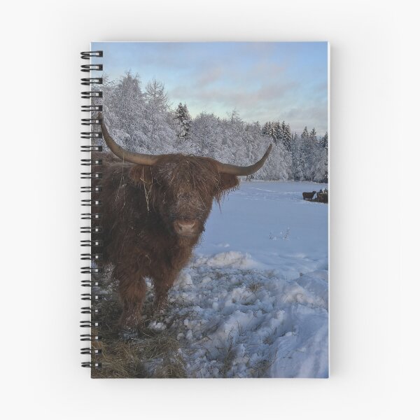 Item preview, Scottish Highland Cattle Cow 1042 designed and sold by SaarelaHighland.