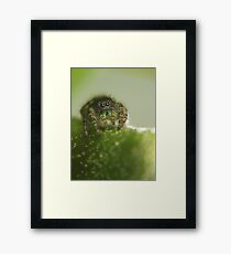 Awww, How Cute Framed Print