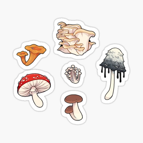 Mushroom Foraging Vinyl Sticker Sheet+Root People Mushroom