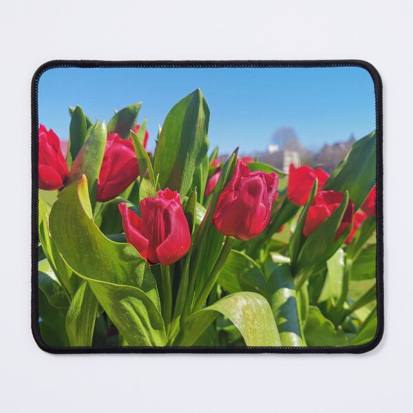 Item preview, Tulips in Amsterdam designed and sold by photobymich.