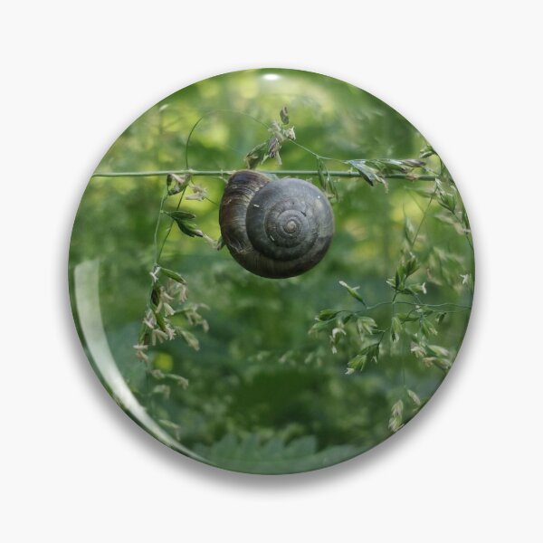 Item preview, Snail: Hanging Around designed and sold by photobymich.