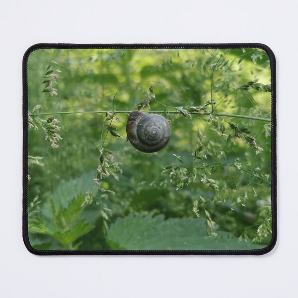 Item preview, Snail: Hanging Around designed and sold by photobymich.