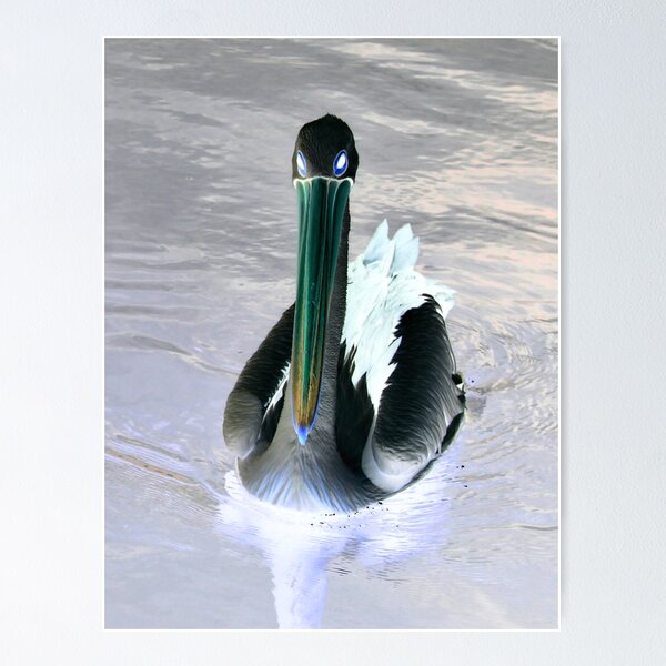 Item preview, The Bright Eyed Pelican! designed and sold by Mickangelhere.