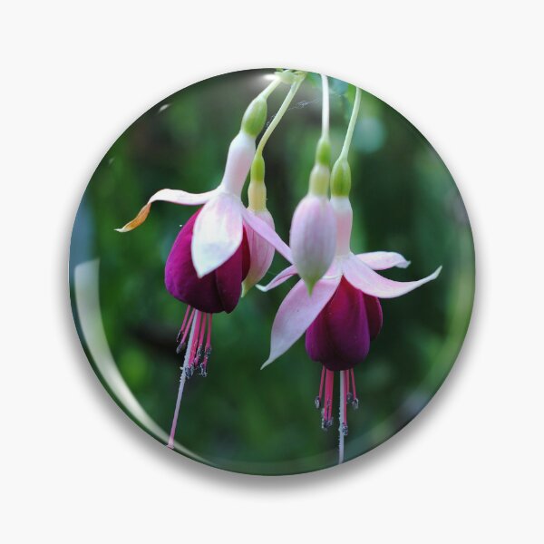 Item preview, fuchsias designed and sold by iago rodriguez dopico.