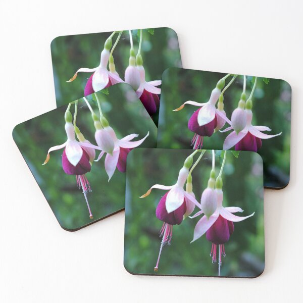 Item preview, fuchsias designed and sold by iago rodriguez dopico.
