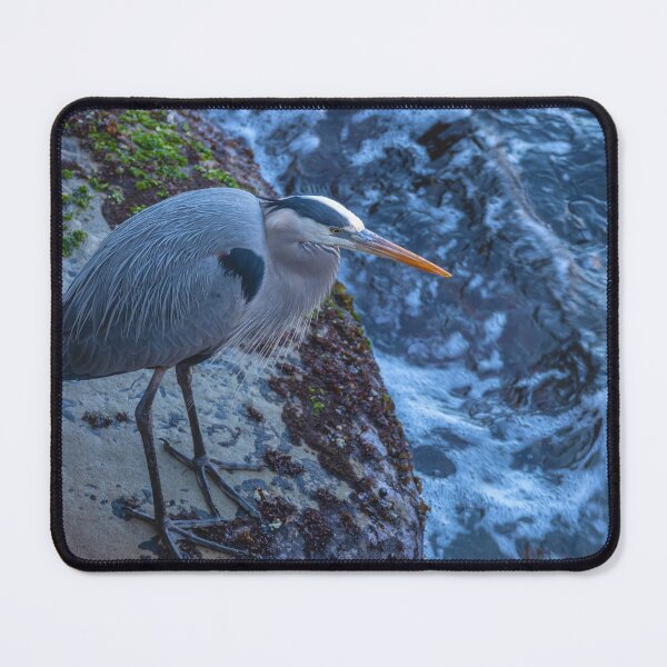 Item preview, Great Blue Heron designed and sold by jvnimages.