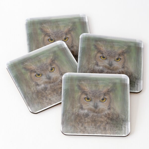 Item preview, Owl Overlay designed and sold by Steven Socha.