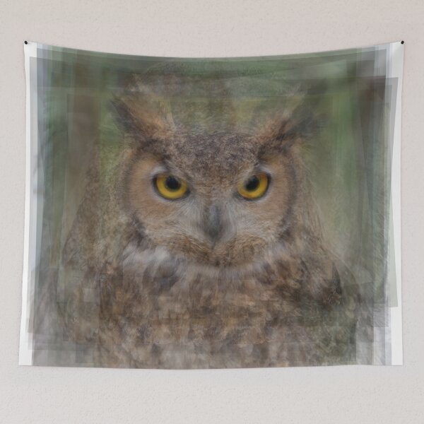 Item preview, Owl Overlay designed and sold by Steven Socha.