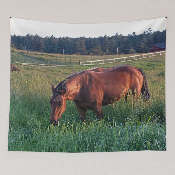 Item preview, An Evening Chance designed and sold by alanathrower.
