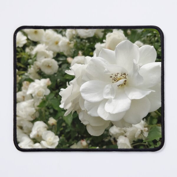 Item preview, Floribunda Rose designed and sold by photobymich.