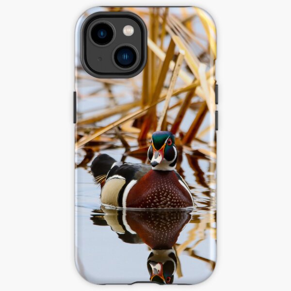 Wood duck in Spring iPhone Tough Case