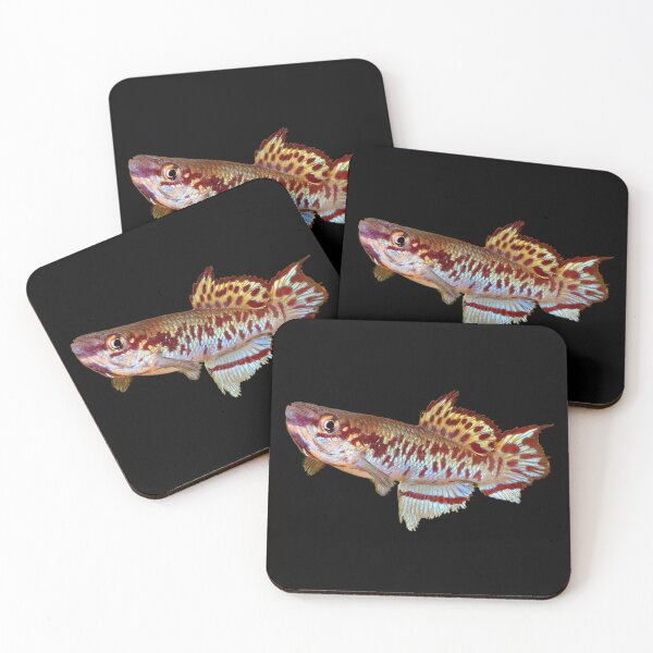 Item preview, Gulare Killifish designed and sold by killies.