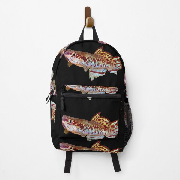 Item preview, Gulare Killifish designed and sold by killies.