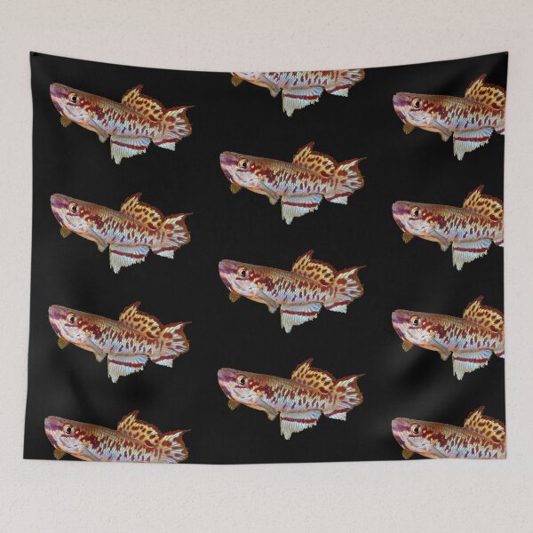 Item preview, Gulare Killifish designed and sold by killies.